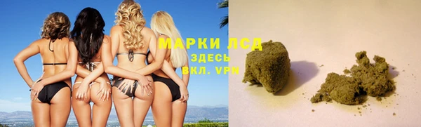 крисы Алзамай