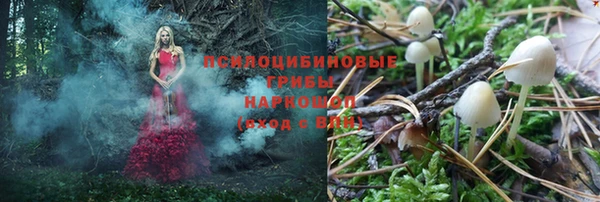 крисы Алзамай
